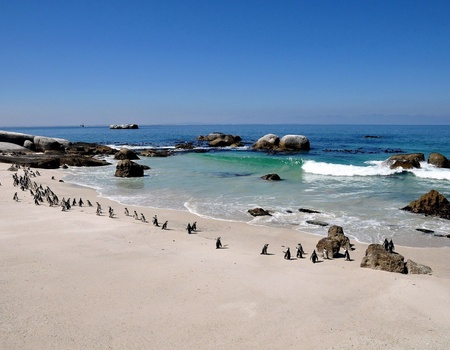 Trésors d'Afrique du Sud, Chutes Victoria & Parc de Chobe 13J/10N - 2026 - 4