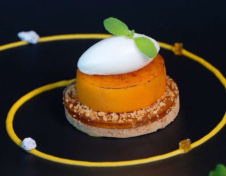 Balcon sur le Léman pour un séjour Gastronomique - 4* - Ain - Gex, Alpes du Nord - Image 1