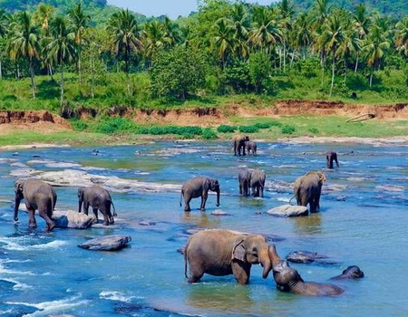 Circuit Ceylan Intimiste - 1