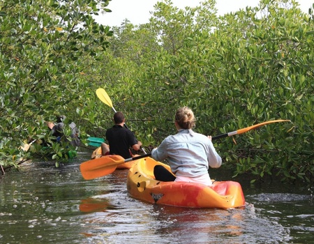 Circuit Le parfum du Saloum - 5