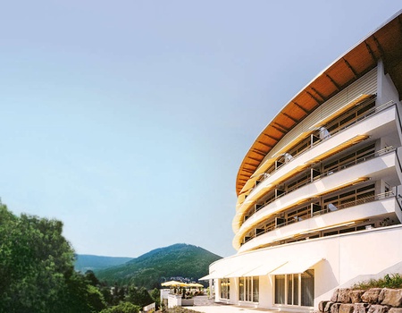 Plaisir pur dans la Forêt-Noire avec dîner et spa - 4* - 2