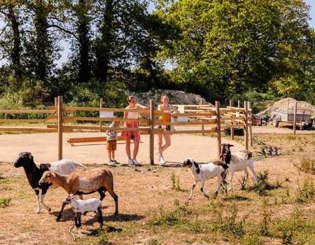 Camping maeva Escapades Le Bois Joli 4* - Vendée - Bois-de-Céné, Atlantique Nord - Image 3