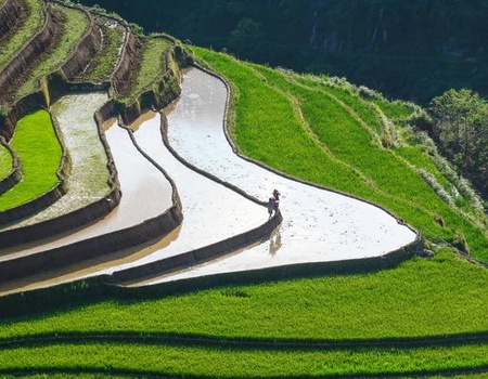 Vietnam Essentiel + prologue Sapa