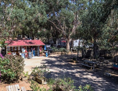 Camping U Pezzo - Haute Corse - Saint Florent, Corse - Image 2