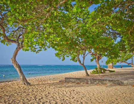 Résidence Tropicale - 5