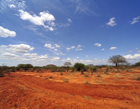 Combiné circuit et Hôtel Neptune Palm Beach Boutique Resort & Spa 4* avec 2 nuits Tsavo Est / Ouest - 4