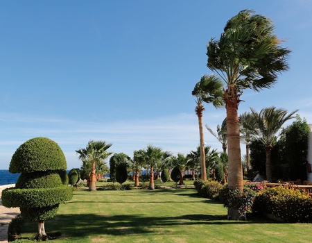 Hôtel Sharm Club Beach Resort 4* - Sharm el Sheikh, Egypte - Image 4