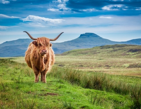 Circuit Iles & Highlands - 1