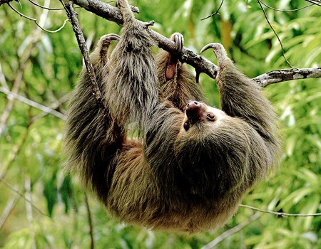 Circuit Pura Vida - 3