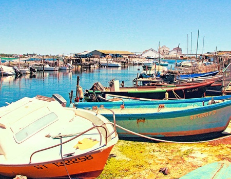Belle échappée aux portes de Montpellier - 1