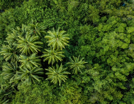 Autotour Entre volcans et forêts, l'âme du Costa Rica