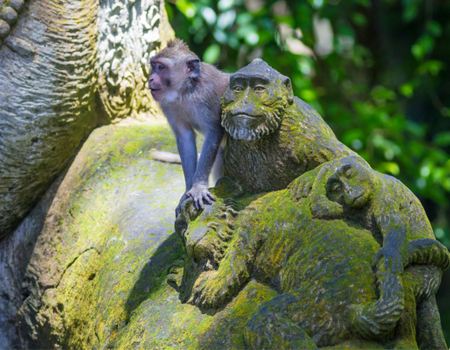 Circuit Panorama Balinais, Cap sur Nusa Penida en Liberté - 5