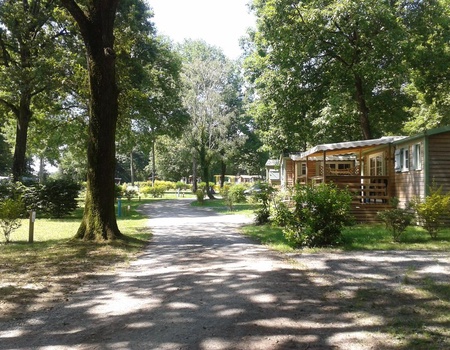Camping OAKi, 3*