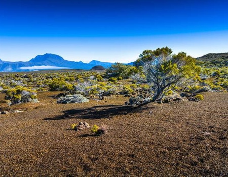 Circuit La Réunion intimiste - 1