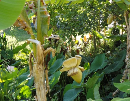 Camping Domaine du Vieux Moulin - 5