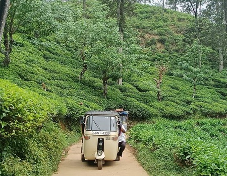 Aventure au Sri Lanka - 3