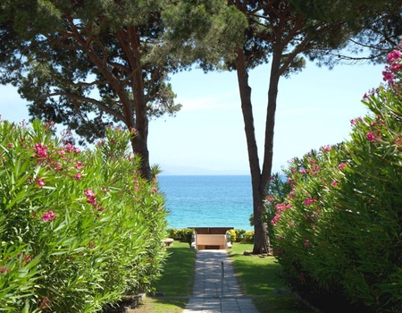 Hôtel La Pinède 3* ( sans transport ) - 4