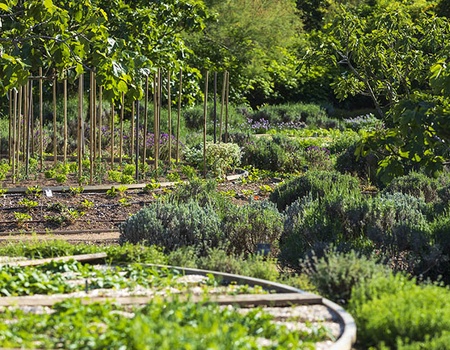 Grand Hôtel de Cala Rossa 5* - 4