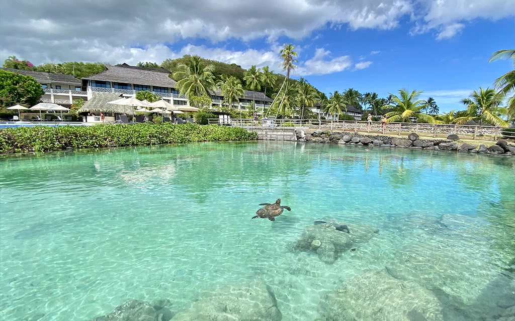 Intercontinental Tahiti Resort and Spa - Offre spéciale Noces **** - 2