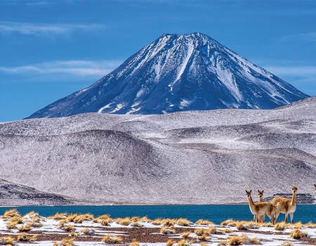 Le Chili, de la Patagonie au désert d'Atacama - 5