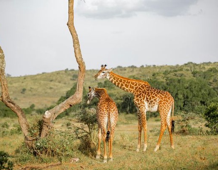 Circuit Immersion en Tanzanie - 4