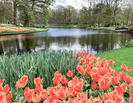 Hébergement à Amsterdam Sud avec accès au Keukenhof - 4* - 1