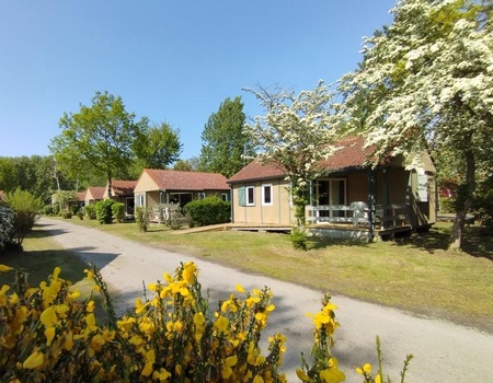 CARAVANING L'OREE DU BOIS, 4*