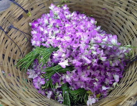 Thailande essentielle - 2