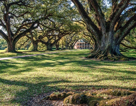 Circuit Bayous et plantations - 1