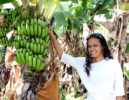 Les Antilles, la Caraïbe Française & extension les Saintes - 5