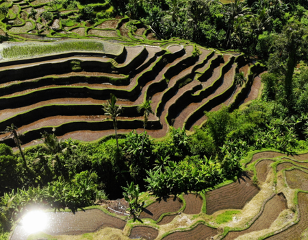 Combiné Bali, Ubud et plages PROMO 16 ou 17 jours - 5