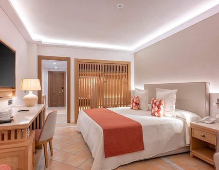 Hôtel GF Gran Costa Adeje 5* - 4