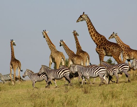 Explorations du Kenya & Balnéaire Mombasa 12J/09N - 2026 - 5