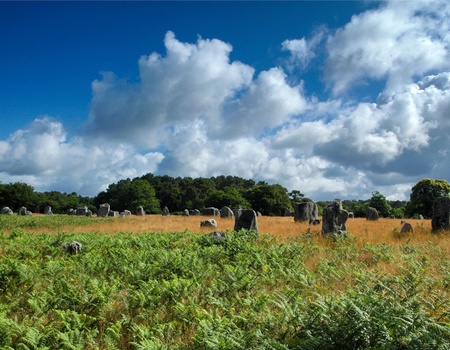 Camping du Menhir 4* - 2