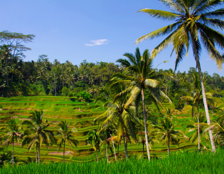 Circuit Secrets et Plage de Bali Sud - 2