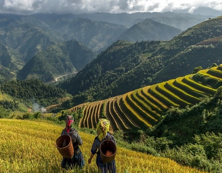 Tonkin Hors Sentiers - Vietnam