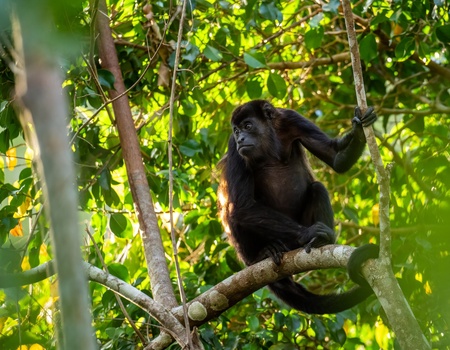 Escapade à Panama City - 4