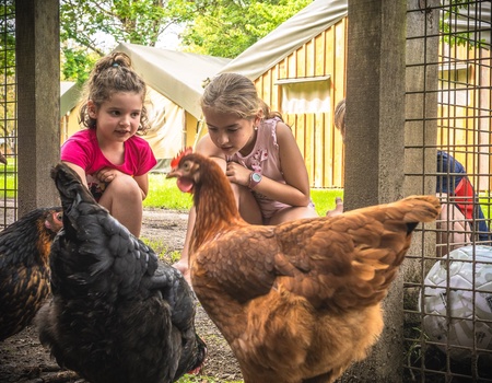 Camping Le Village du Port 4* - 4