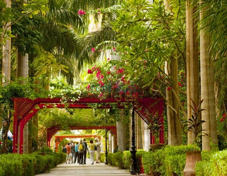 Circuit Oasis et flots du Nil 5* - 4