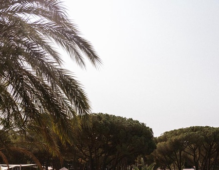 WeCamp Cala Montgo, 4* - 2