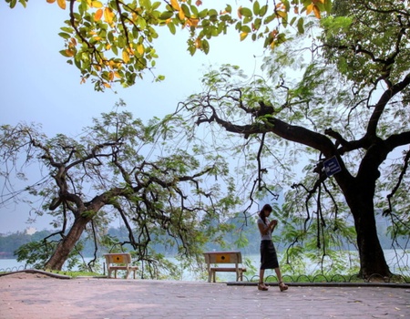 O1. Vietnam à la folie/ vol domestique inclus - Vietnam, Asie - Image 1