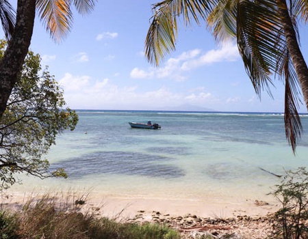 Circuit Perles de Guadeloupe et plage du Framissima Evasion Arawak Beach Resort **** - 5