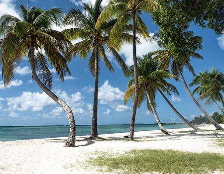 Découverte de l'Archipel Guadeloupéen