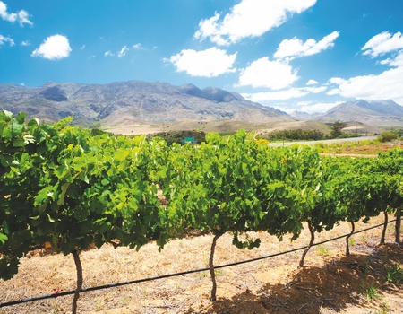 Autotour Un Monde en Un Seul Pays - 13J/10N - 3