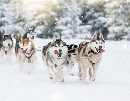 Séjour Multi-activités à l'Hôtel Sirkantahti - 1