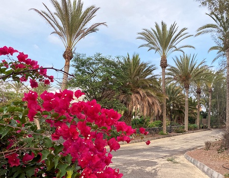 Hôtel Smart Club Drago Park 4* - 3