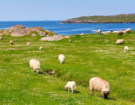 Autotour Sur la route : Grand tour d'Irlande - 5