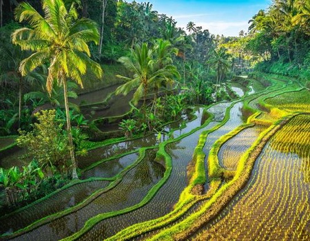 Circuit Bali Essentiel - 1