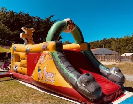 Camping Ternélia La Caillebotière - 3