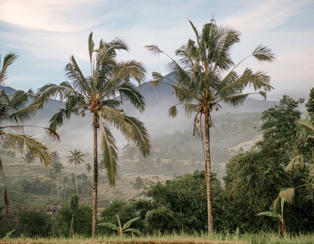Circuit Sur la route des îles : Ubud, Candidasa et Lombok